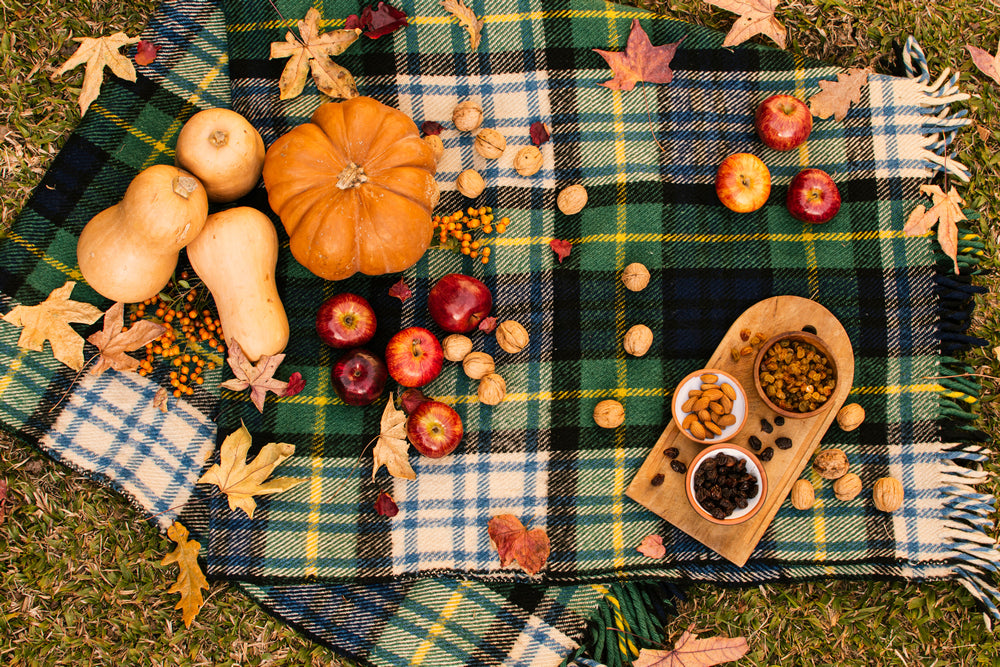 Fall Picnic Magic: Ideas for a Cozy and Charming Outing
