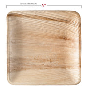 Eco-friendly 9-inch square palm leaf plates, biodegradable and disposable