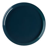Navy flat round disposable plastic dinner plates, 10-inch diameter