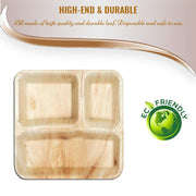 10 Square Palm Leaf 3-Partition Eco Friendly Disposable Dinner Plates