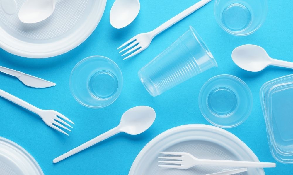 Reusable vs. Disposable Dinnerware: The Differences