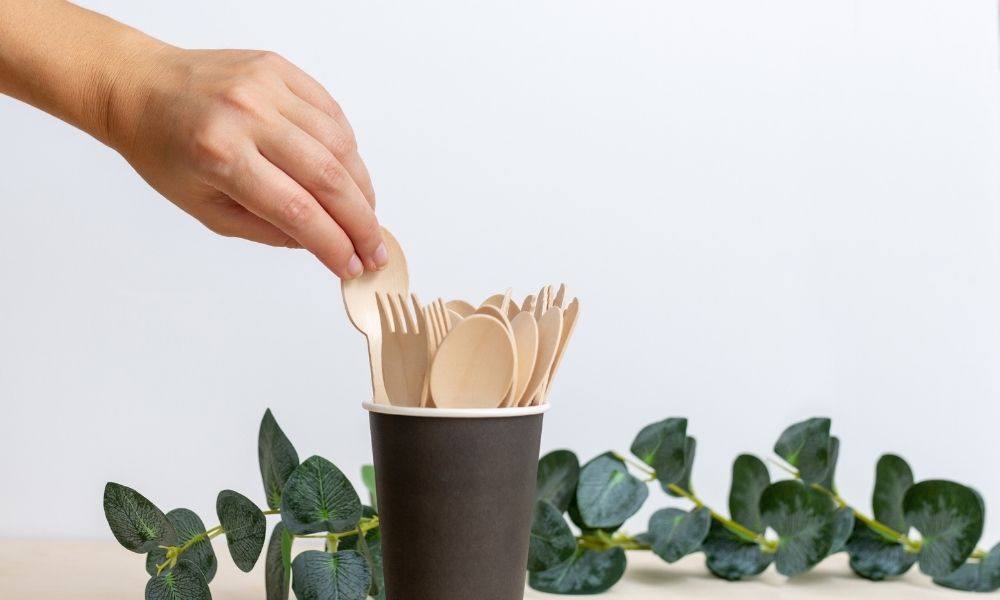 Nail Your Next Dinner Party With Fancy Disposable Dinnerware
