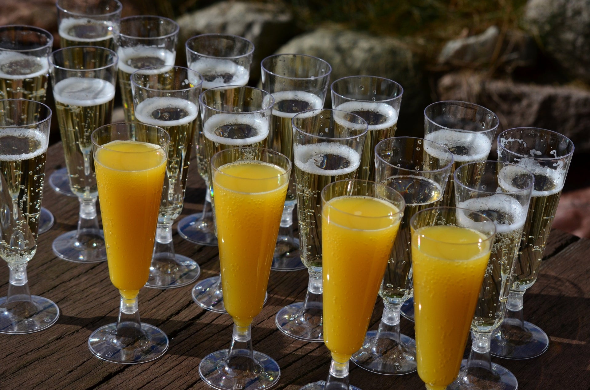 Party in Style: The Best Plastic Champagne Flutes for Celebrations