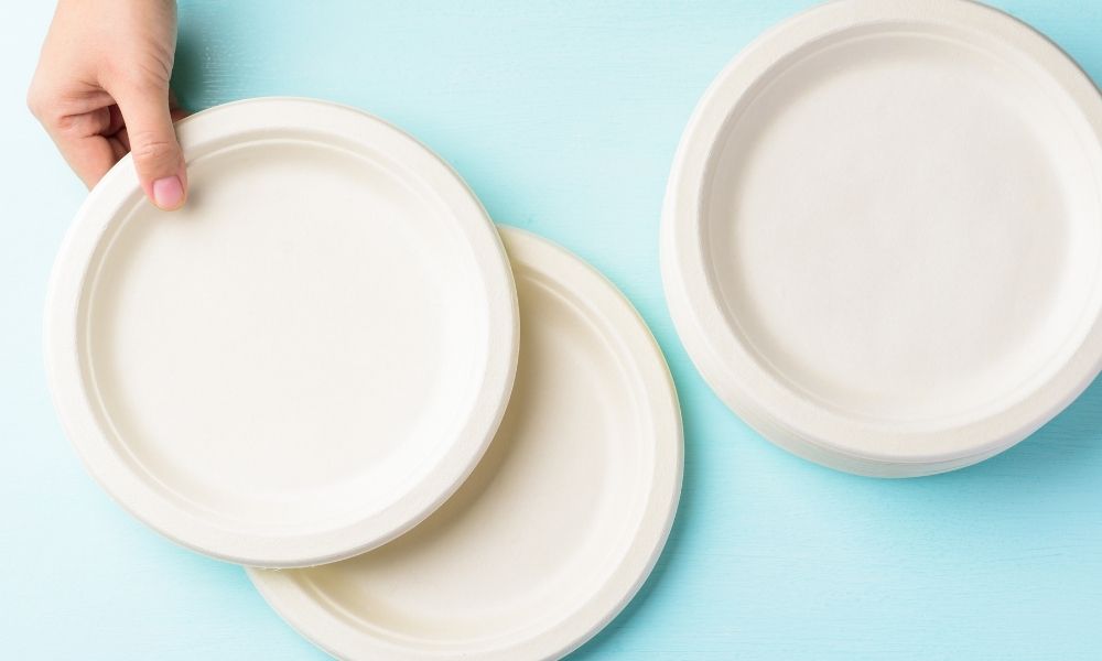 Guide to Choosing the Perfect Fancy Biodegradable Plates