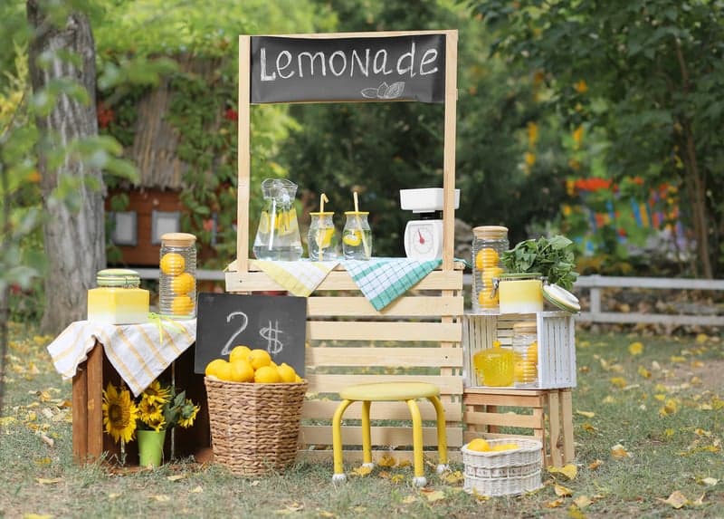 lemonade stand ideas