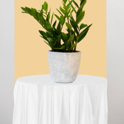 84" round white cloths were perfect for weddings and formal gatherings.