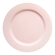 Matte Pink Round Disposable Plastic Dinner Plates (10") Secondary | Smarty Had A Party