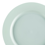 Matte Turquoise Round Disposable Plastic Dinner Plates (10") | Smarty Had A Party