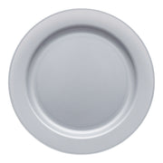 Matte steel gray round disposable plastic dinner plates, 10-inch diameter